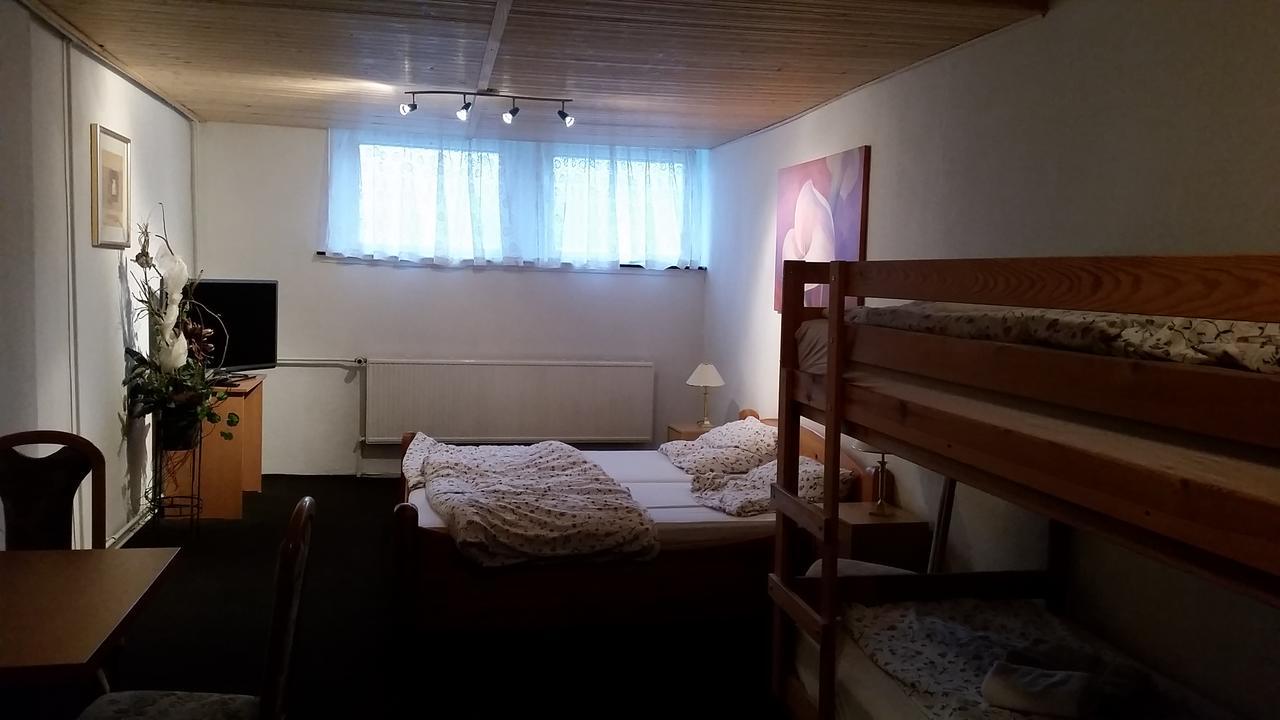 Pension Und Restaurant Die Burg Ehrenfriedersdorf Esterno foto